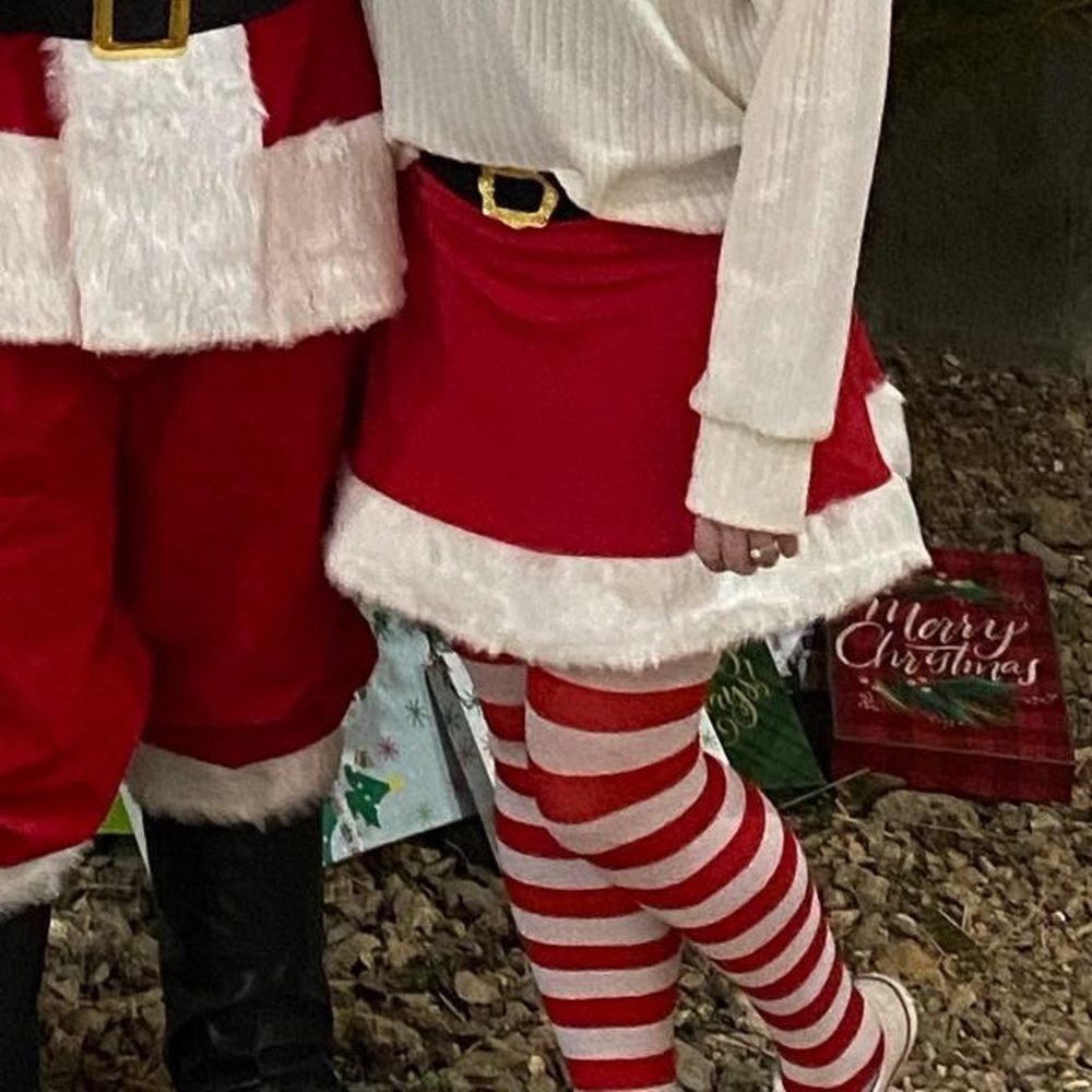Santa skirt
